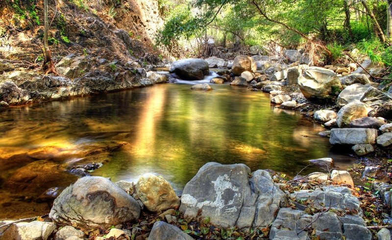 Stream in Forest — Green, Serene, Afternoon, Photograph, Rocks, Trees, Leaves