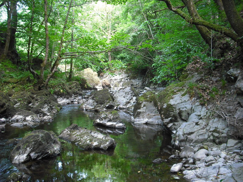 Stream in Forest — Green, Serene, Afternoon, Photograph, Rocks, Trees, Moss, Gray, Brown
