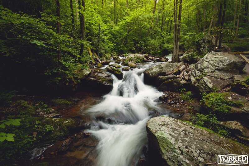 Stream in Forest — Green, Serene, Afternoon, Photograph, Rocks, Trees, Person