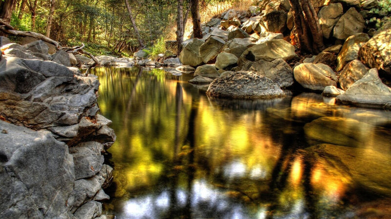 Stream in Forest — Green, Serene, Afternoon, Photograph, Rocks, Trees, Reflection
