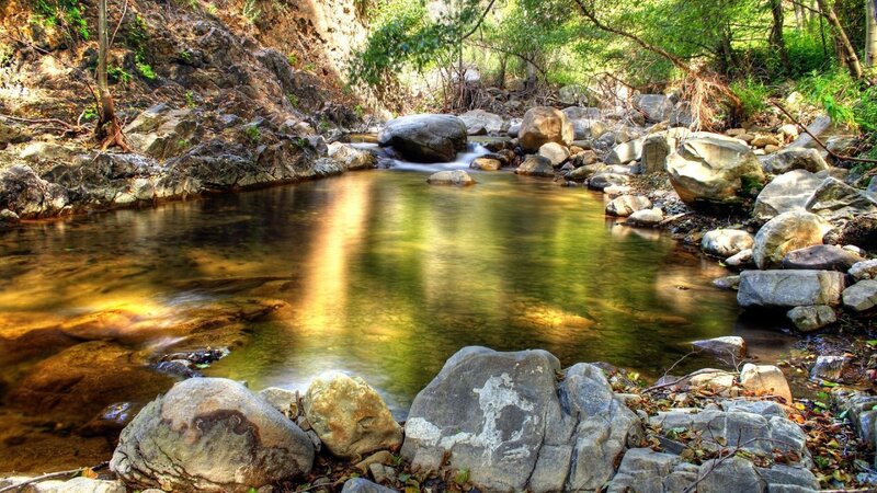 Stream in Forest — Green, Serene, Afternoon, Photograph, Rocks, Trees, Water, Brown