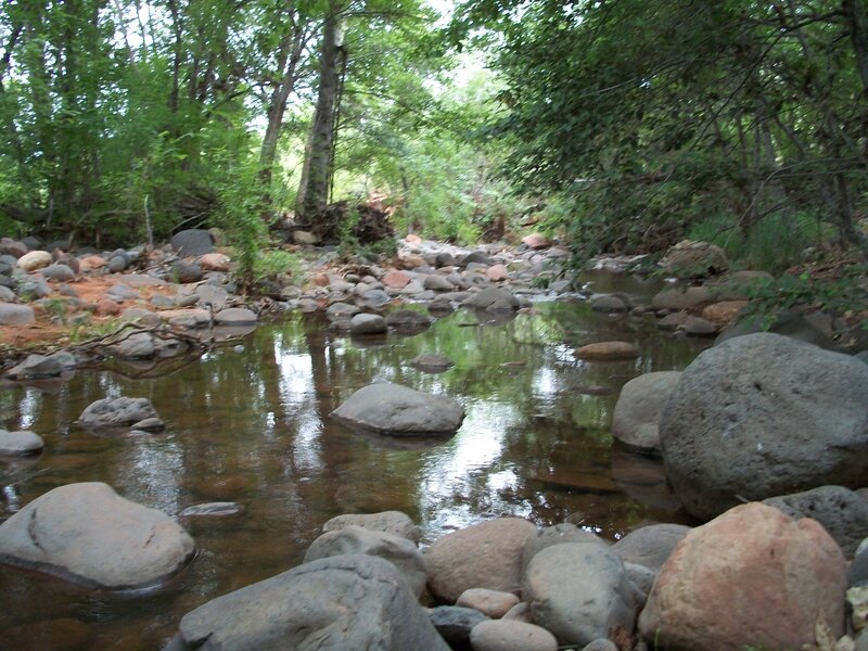 Stream in Forest — Green, Serene, Afternoon, Photograph, Rocks, Trees, Water