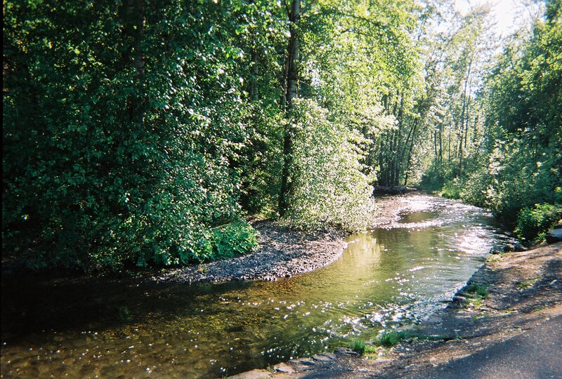 Stream in Forest — Green, Serene, Afternoon, Photograph, Trees, River, Rocks, Brown, Blue