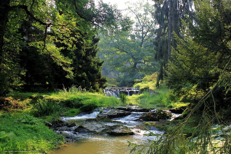 Stream in Forest — Green, Serene, Afternoon, Photograph, Trees, River, Rocks, Plants