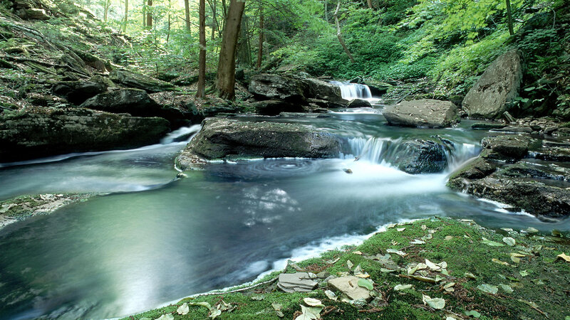 Stream in Forest — Green, Serene, Afternoon, Photograph, Trees, Rocks, Moss, Blue, Brown