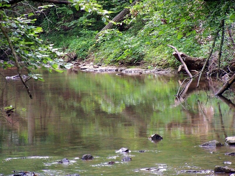 Stream in Forest — Green, Serene, Afternoon, Photograph, Trees, Rocks, Water
