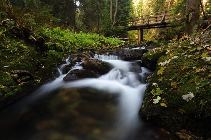 Stream in Forest — Green, Serene, Autumn, Photograph, Bridge