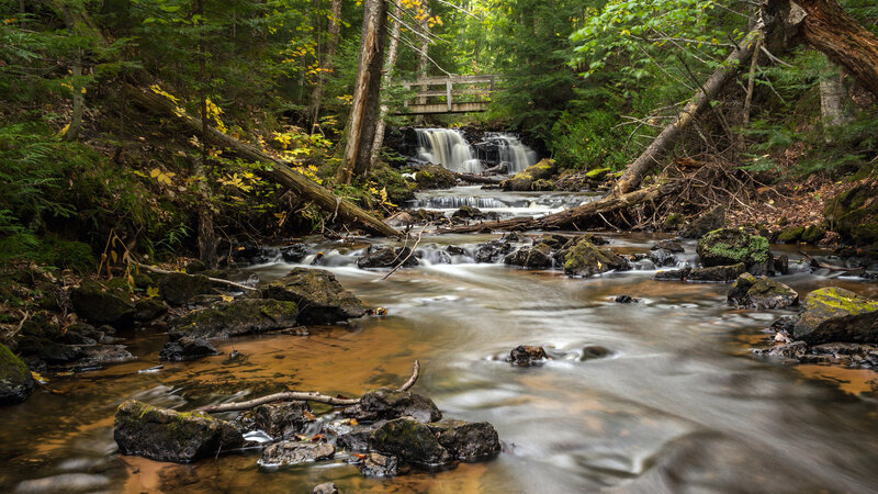 Stream in Forest — Green, Serene, Autumn, Photograph, Fallen Tree
