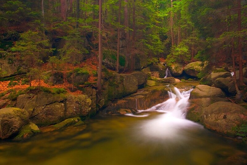 Stream in Forest — Green, Serene, Autumn, Photograph