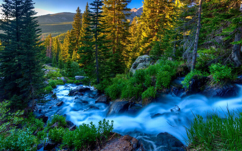 Stream in Forest — Green, Serene, Morning, Photograph, Trees, Mountains, Rocks