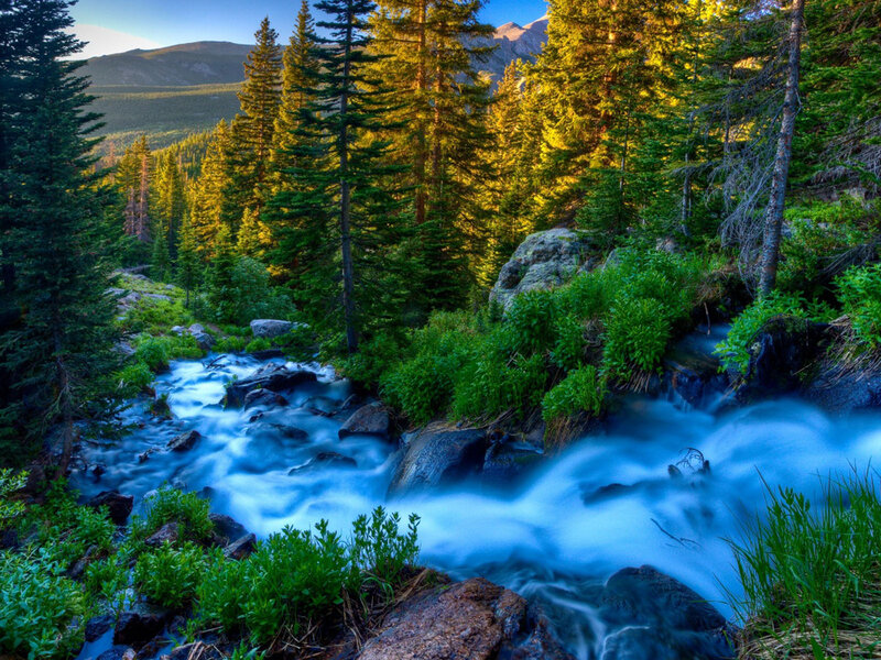 Stream in Forest — Green, Serene, Morning, Photograph, Trees, Rocks, Mountains