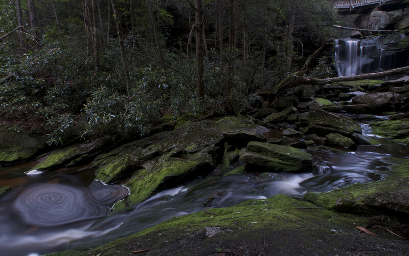 Stream in Forest — Green, Serene, Night, Photograph