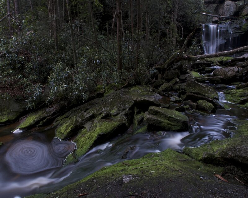 Stream in Forest — Green, Serene, Night, Photograph, Trees