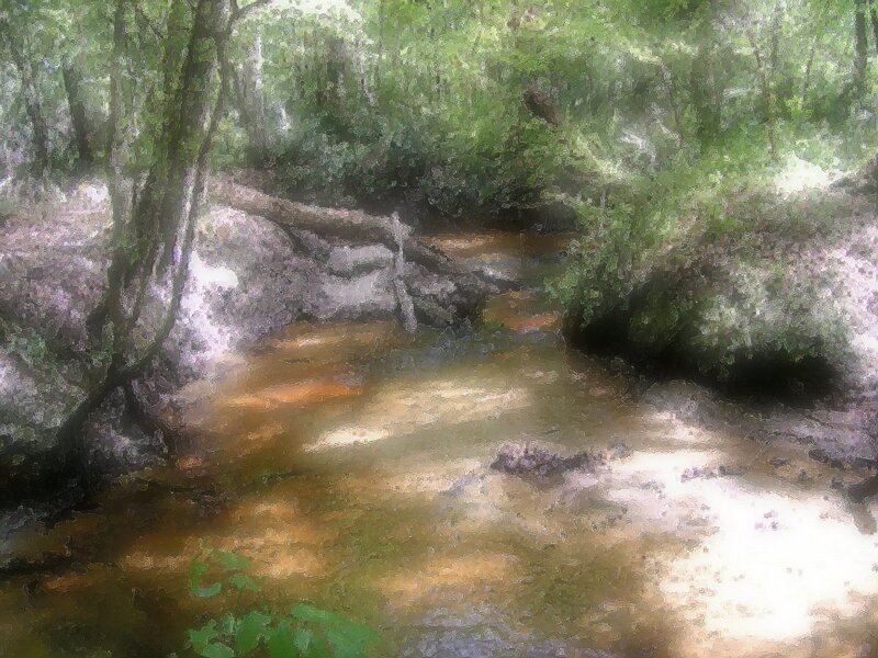 Stream in Forest — Green, Serene, Painting