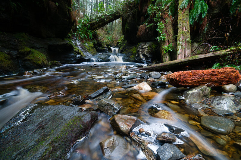 Stream in Forest — Green, Serene, Photograph, Rocks, Trees