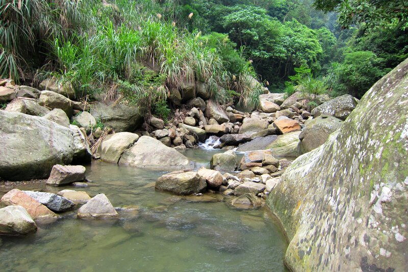 Stream in Forest — Green, Serene, Photograph, Rocks, Trees, Vegetation