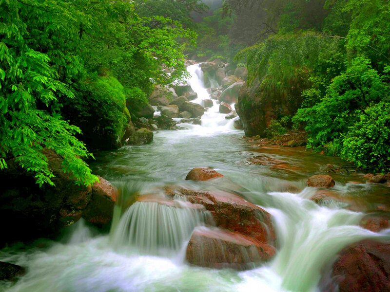 Stream in Forest — Green, Serene, Photograph, Rocks, Trees, Waterfall