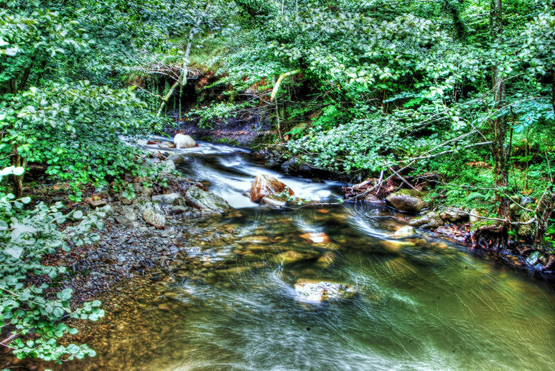 Stream in Forest — Green, Serene, Photograph, Trees, Rocks