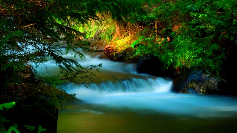 Stream in Forest — Green, Serene, Photograph, Trees, Rocks, Waterfall