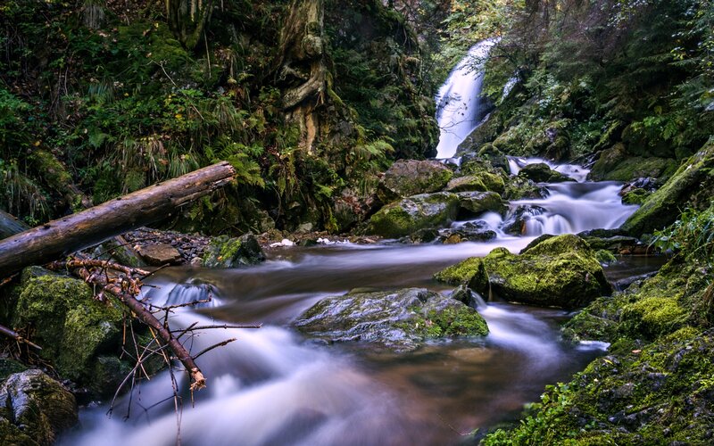 Stream in Forest — Green, Serene, Photograph, Waterfall