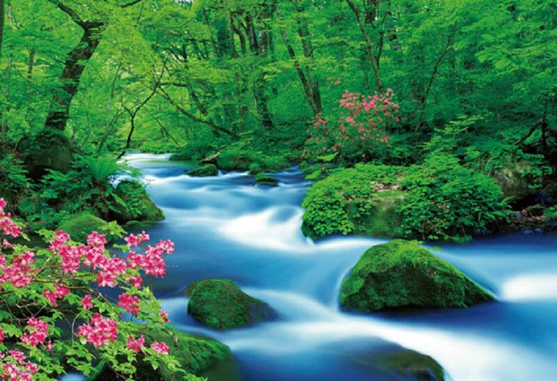Stream in Forest — Green, Serene, Spring, Photograph, Flowers