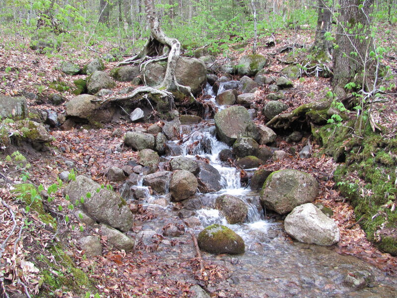 Stream in Forest — Green, Serene, Spring, Photograph, Rocks