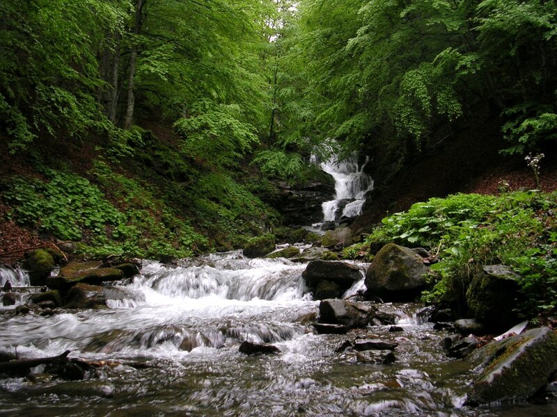 Stream in Forest — Green, Serene, Summer, Photograph, Trees, Rocks, Waterfall