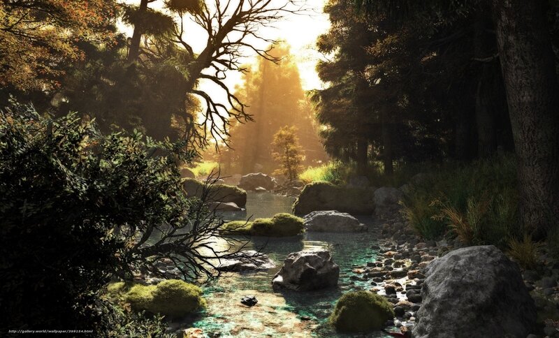 Stream in Forest — Green, Serene, Sunset, Digital Art, Trees, Rocks