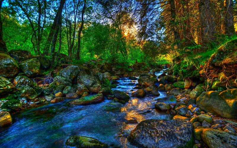 Stream in Forest — Green, Serene, Sunset, Photograph, Rocks