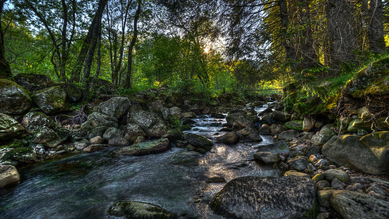 Stream in Forest — Green, Serene, Sunset, Photograph, Trees, Rocks