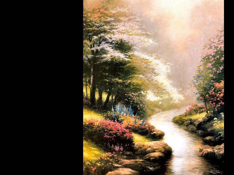 Stream in Forest Landscape