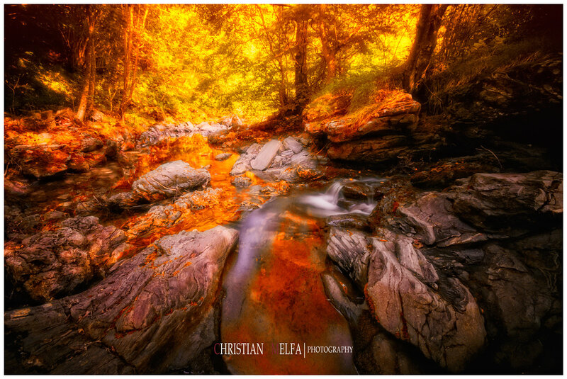 Stream in Forest — Orange