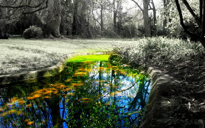 Stream in Forest Park — Green
