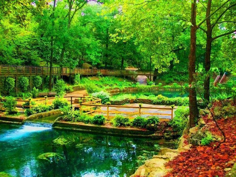 Stream in Forest Park
