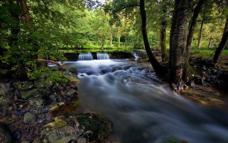 Stream in Forest — Photograph, Blue