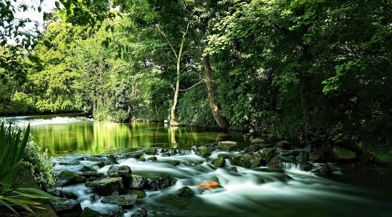 Stream in Forest — Photograph, River