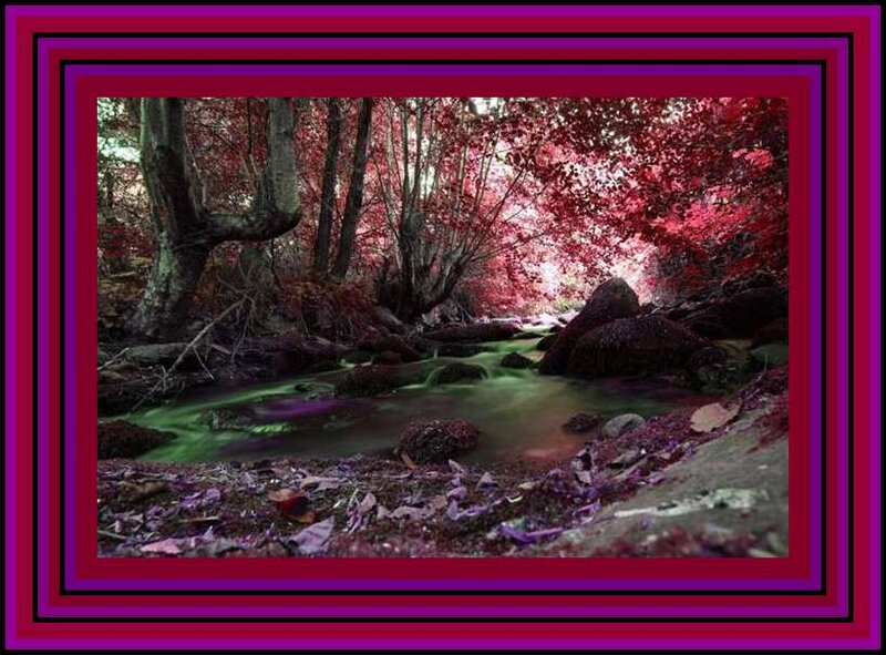 Stream in Forest — Red, Serene