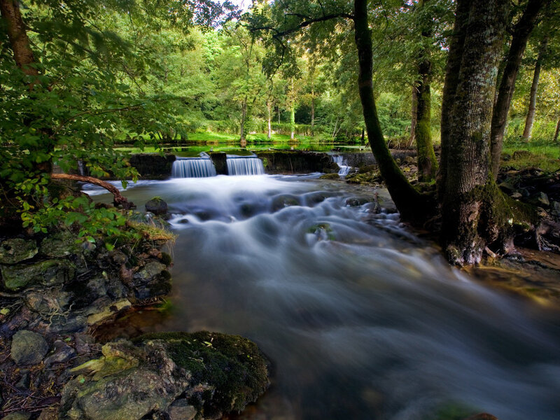 Stream in Forest — Rocks, Waterfall