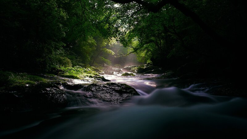 Stream in Forest — Serene, Black