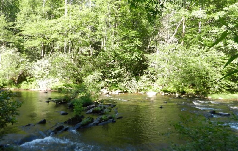 Stream in Forest — Serene, Blue