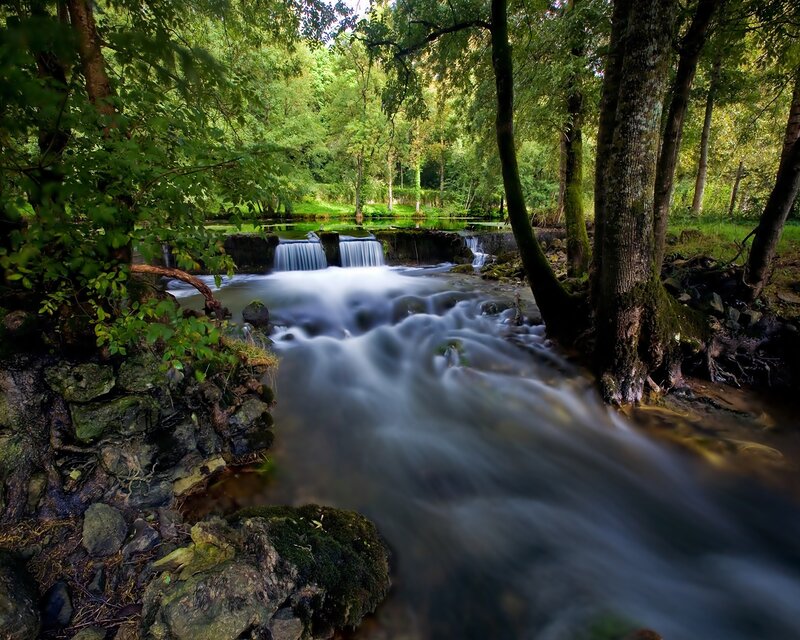 Stream in Forest — Serene, Waterfall