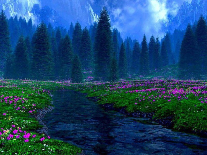 Stream in Forest Valley — Blue