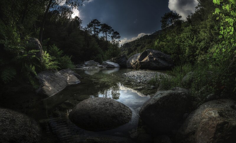 Stream in Forest Valley — Green, Dramatic
