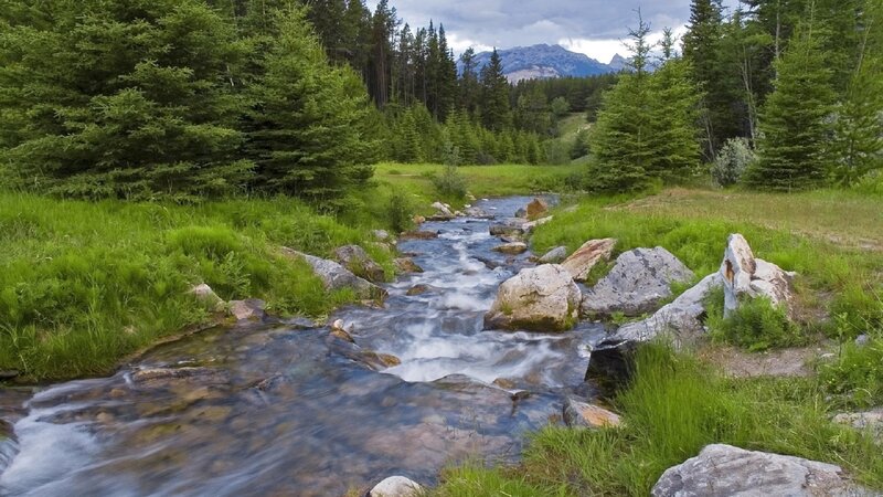 Stream in Forest Valley — Green, Serene, Afternoon, Photograph, Trees, Mountains