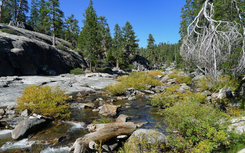 Stream in Forest Valley — Green, Serene, Afternoon, Photograph, Trees, Rocks, River