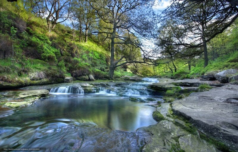 Stream in Forest Valley — Green, Serene, Afternoon, Photograph, Trees, Rocks, Waterfall