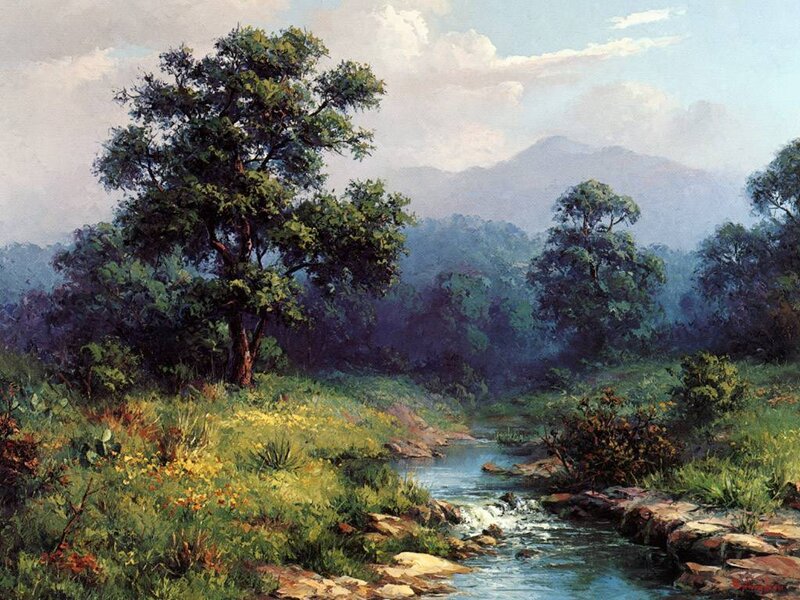 Stream in Forest Valley — Green, Serene