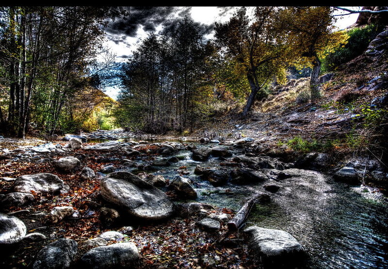 Stream in Forest Valley — Green