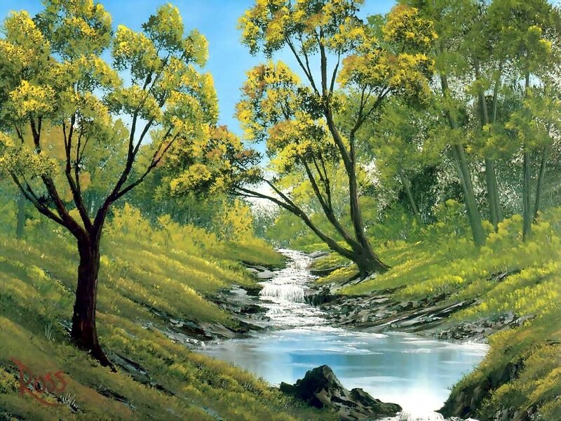 Stream in Forest Valley