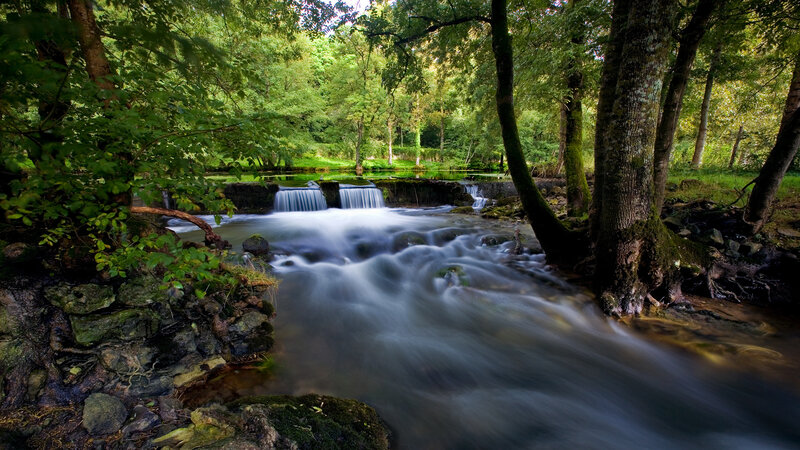 Stream in Forest — Waterfall